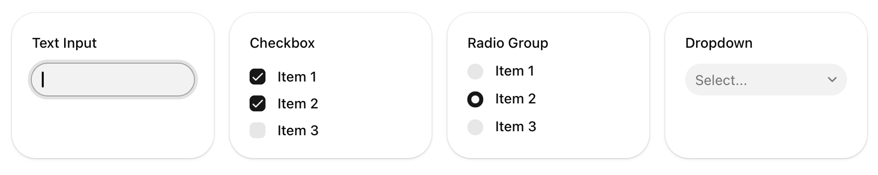 Text input, checkbox, radio group, and dropdown rendered with shadcn token values
