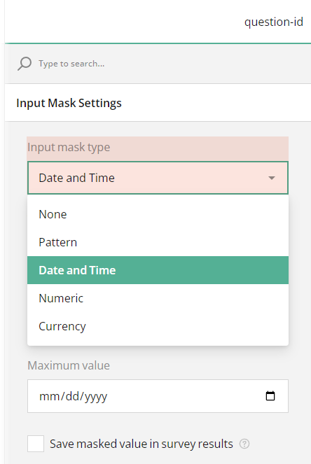 How to apply Date and Time input mask type